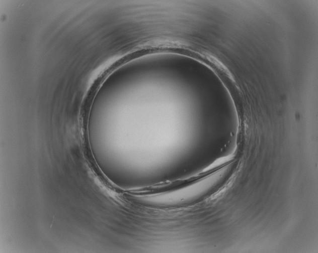 X0000068820981200605051206