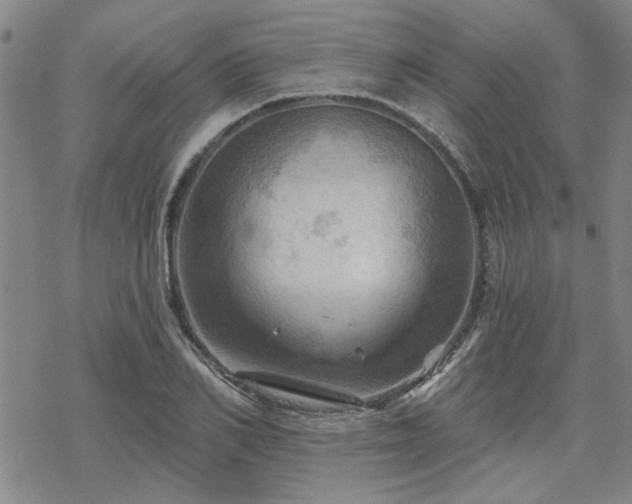 X0000068820982200605051206