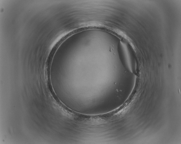 X0000068820983200605051206