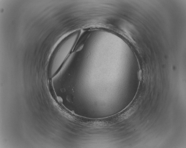 X0000068820984200605051206