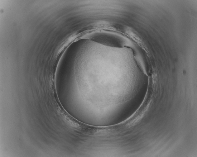 X0000068820985200605051206