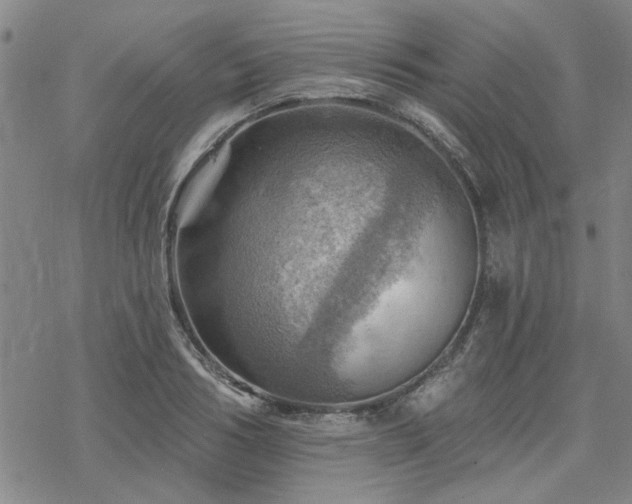 X0000068820986200605051206