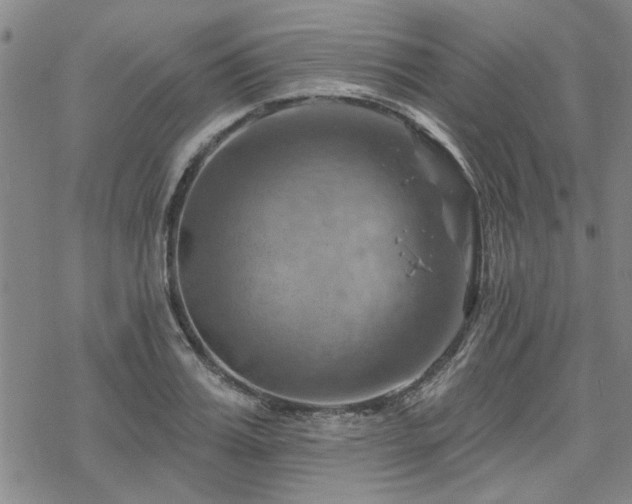 X0000068820987200605051206