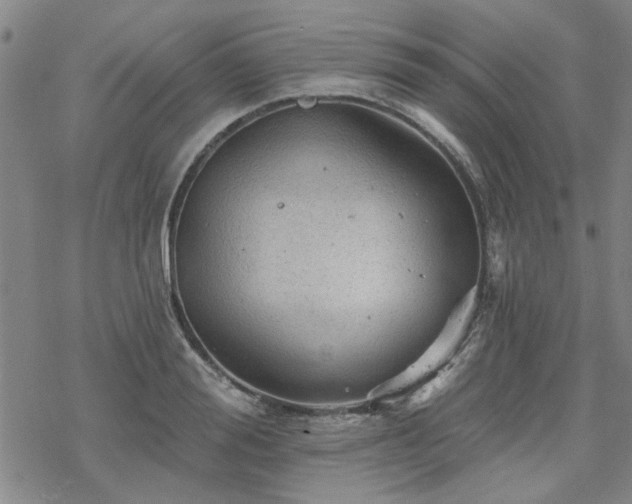 X0000068820988200605051206