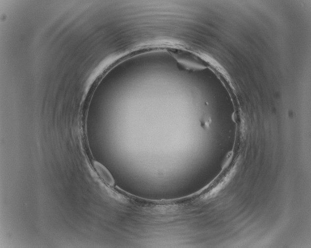 X0000068820989200605051206