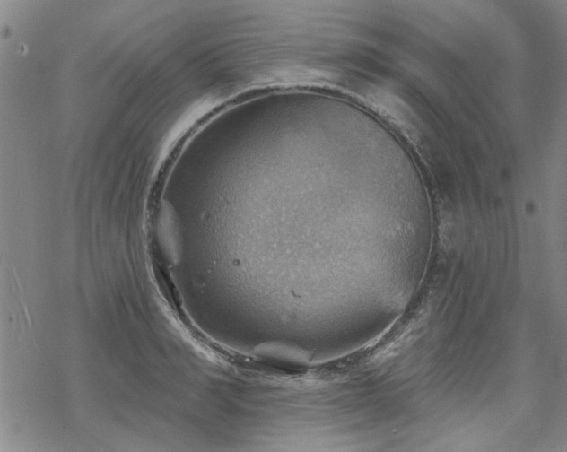 X0000068820990200605051206