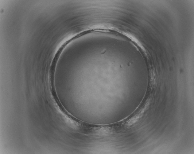 X0000068820991200605051206