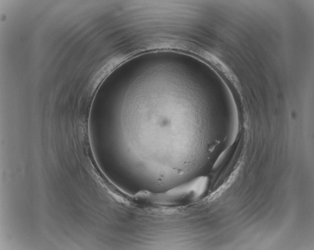 X0000068820993200605051206