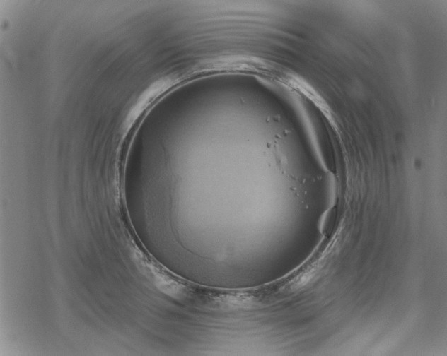 X0000068820994200605051206