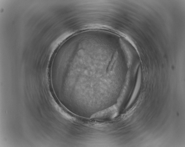 X0000068820995200605051206