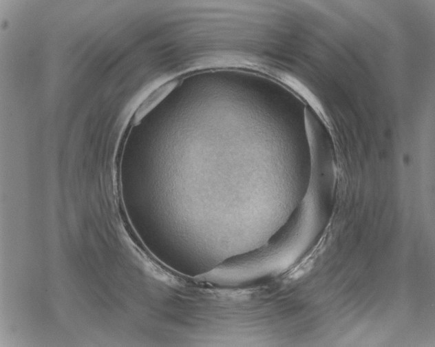 X0000068820996200605051206