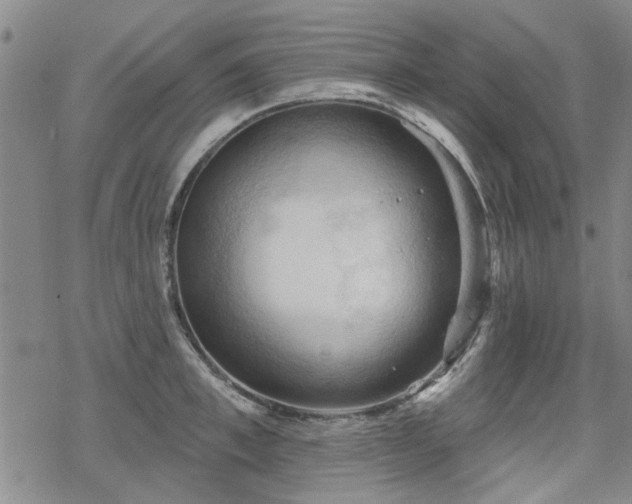 X0000068820997200605051206