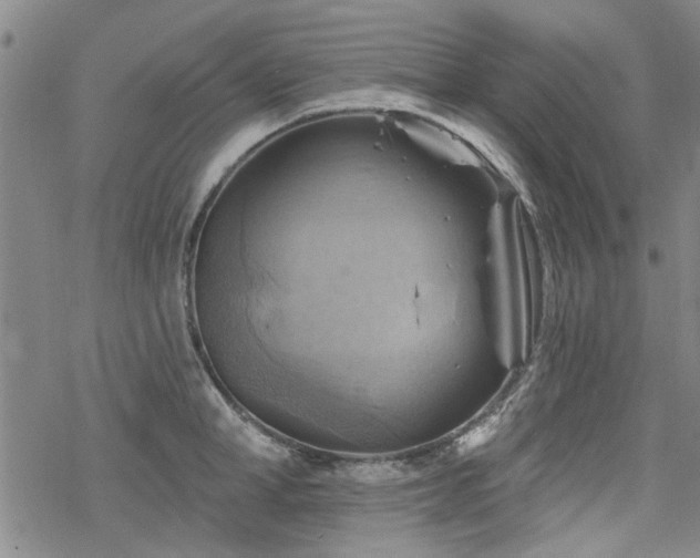 X0000068820998200605051206