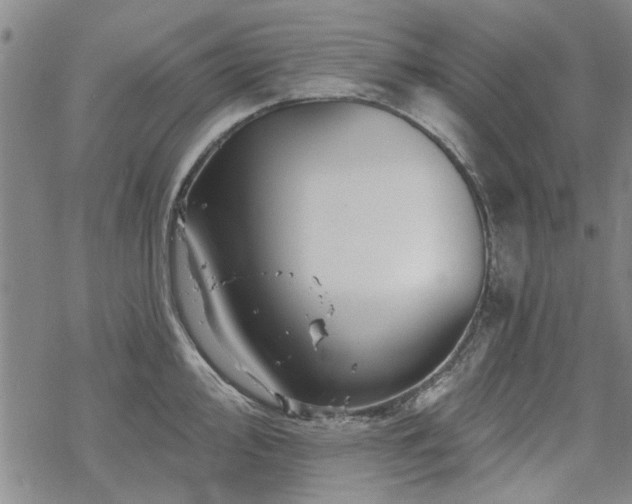 X0000068821000200605051206