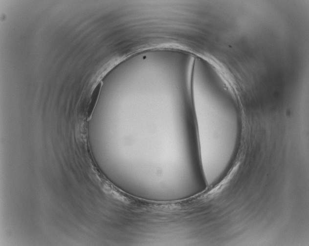 X0000068821001200605051206