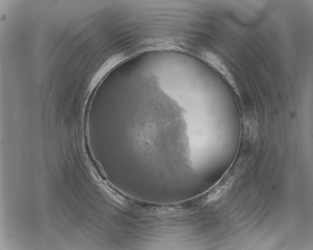 X0000068821002200605051206