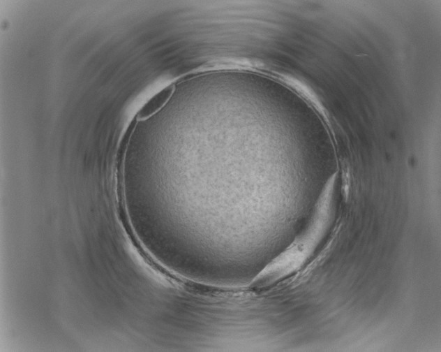 X0000068821003200605051206