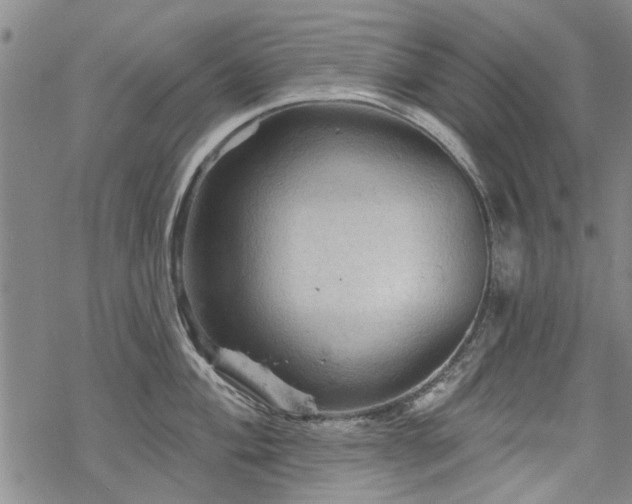 X0000068821004200605051206