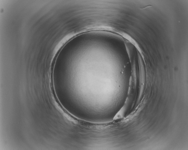 X0000068821005200605051206