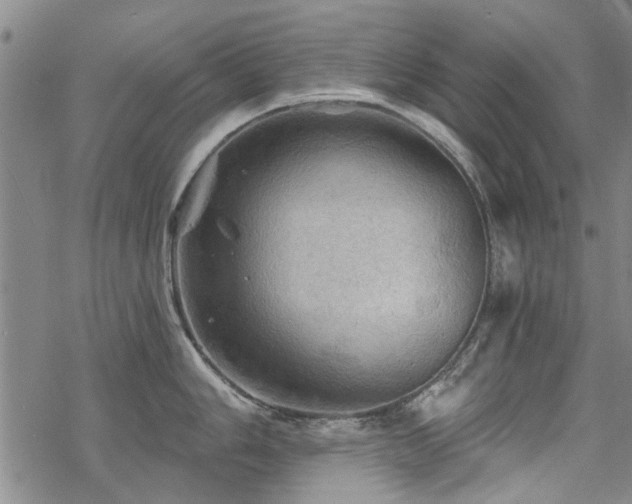 X0000068821006200605051206