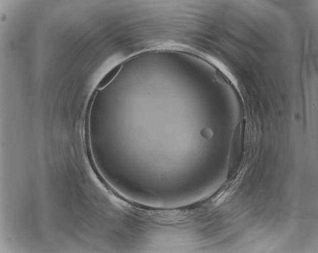 X0000068821007200605051206