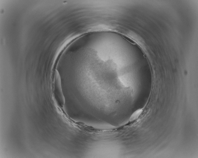 X0000068821008200605051206