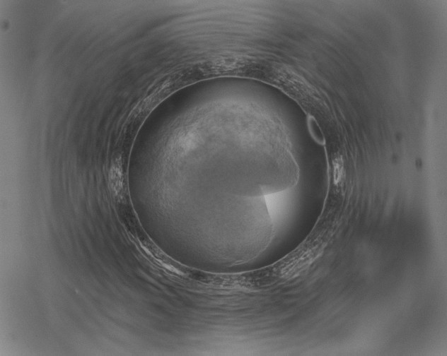 X0000068821011200605051205