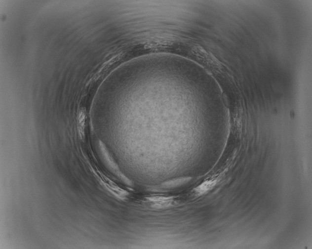 X0000068821012200605051205