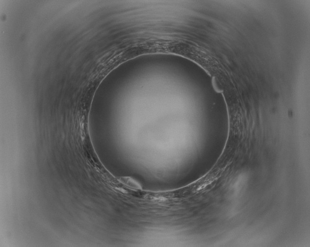 X0000068821013200605051205