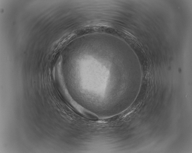 X0000068821014200605051205