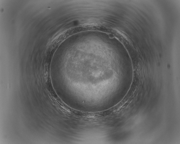 X0000068821015200605051205