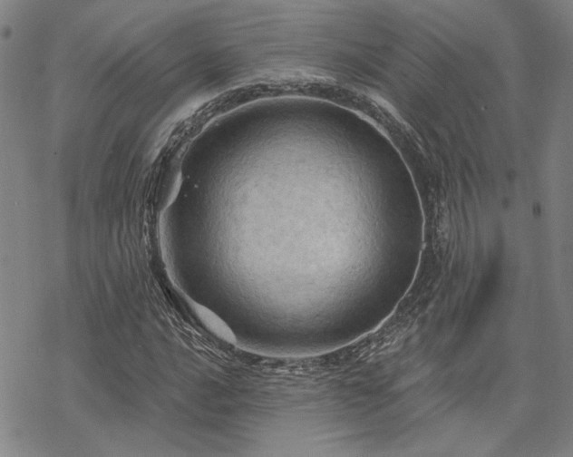 X0000068821016200605051205