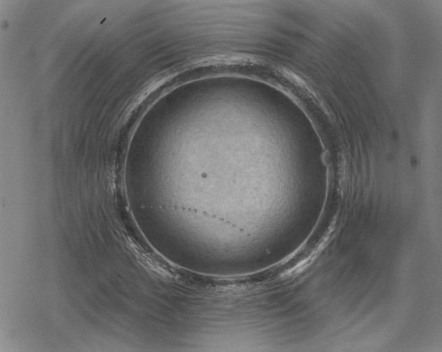 X0000068821017200605051205