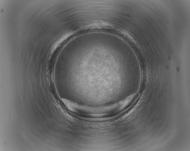 X0000068821018200605051205