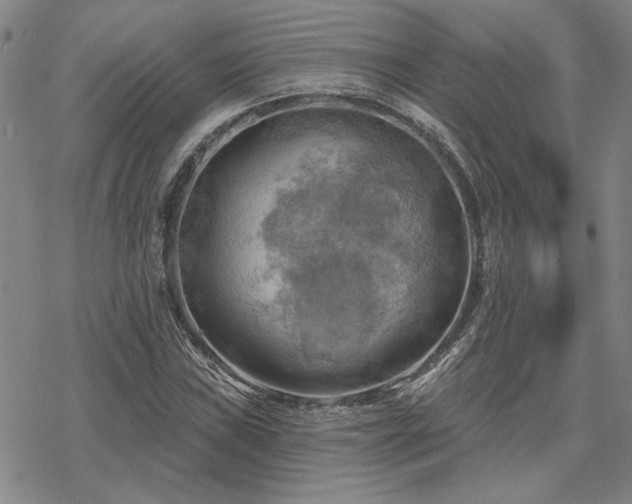 X0000068821019200605051205