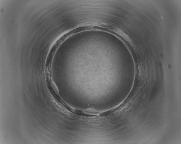 X0000068821020200605051205