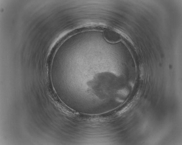 X0000068821021200605051205