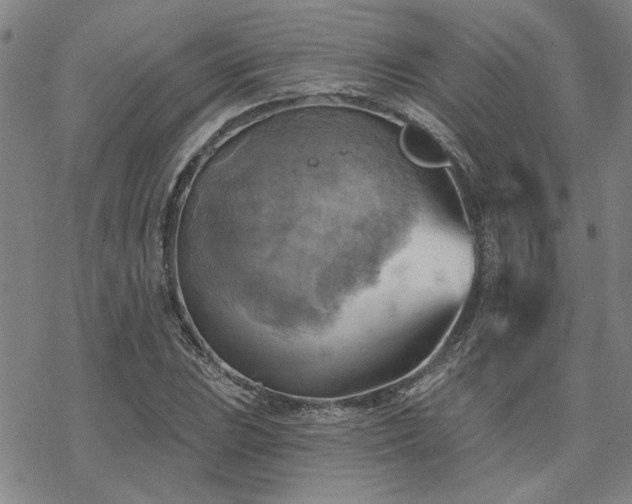 X0000068821023200605051205