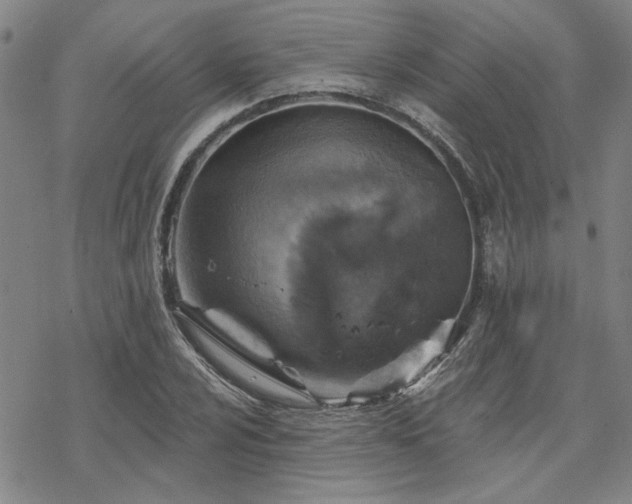 X0000068821024200605051205