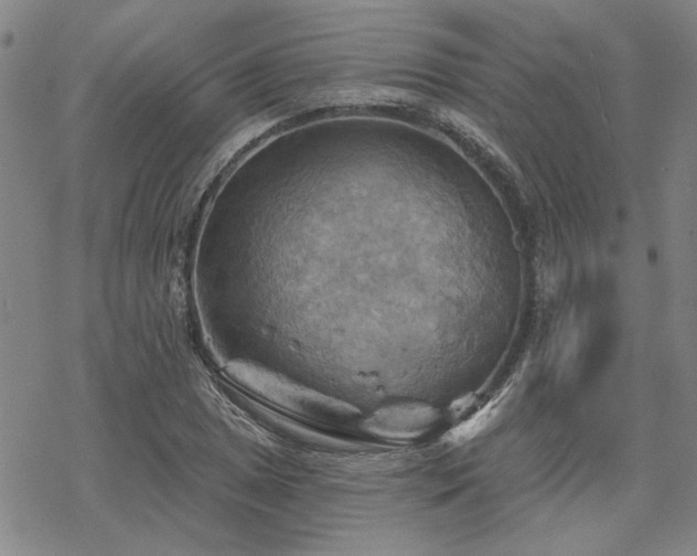 X0000068821025200605051205