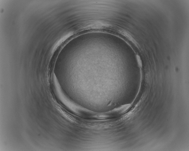 X0000068821026200605051205