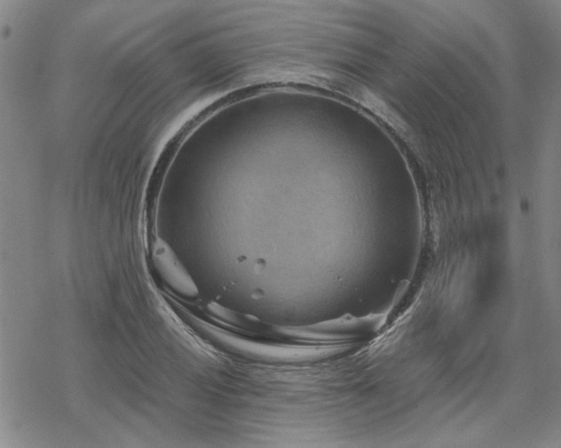 X0000068821028200605051205