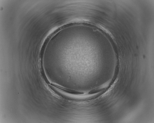 X0000068821029200605051205