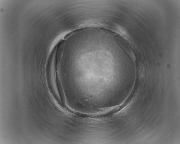 X0000068821030200605051205