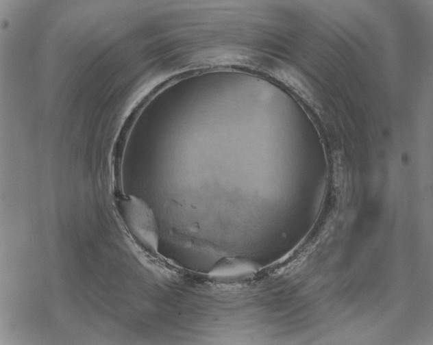 X0000068821031200605051205