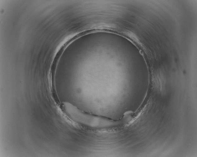 X0000068821032200605051205