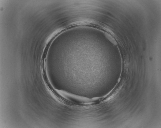 X0000068821034200605051205