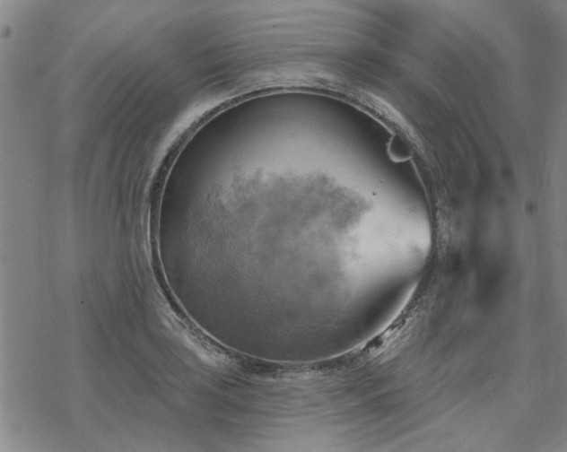 X0000068821035200605051205