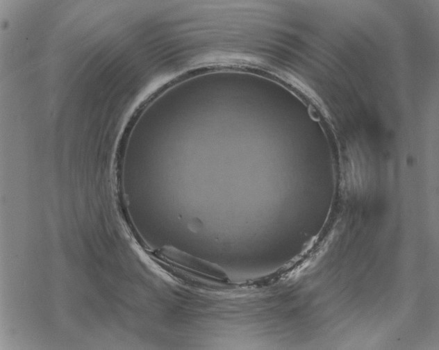 X0000068821037200605051205