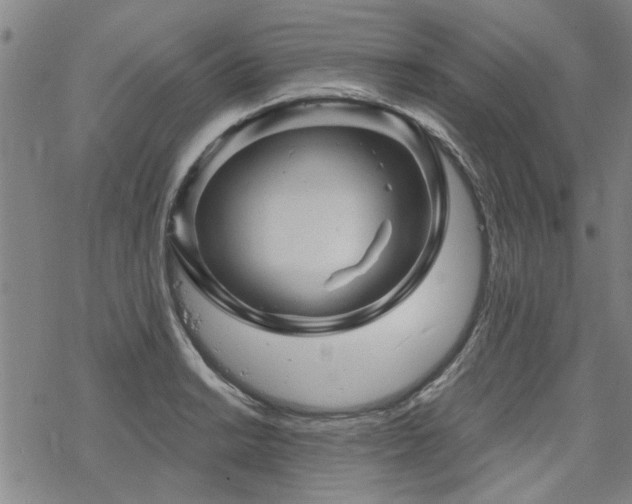 X0000068821038200605051205